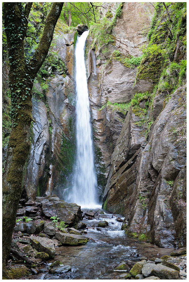 IMG_0311