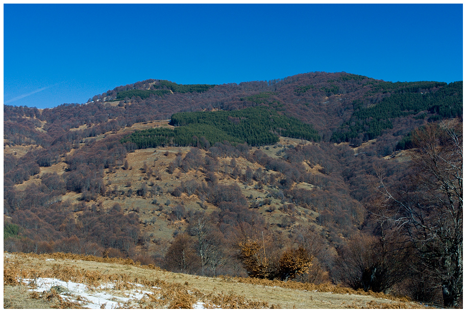 В. Билска чука (Голак)
