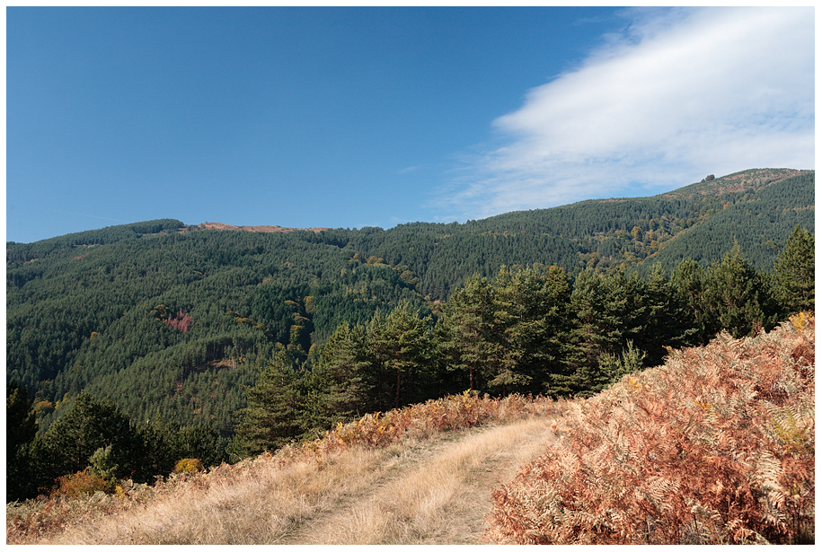 Към в. Маркови кладенци (вдясно)