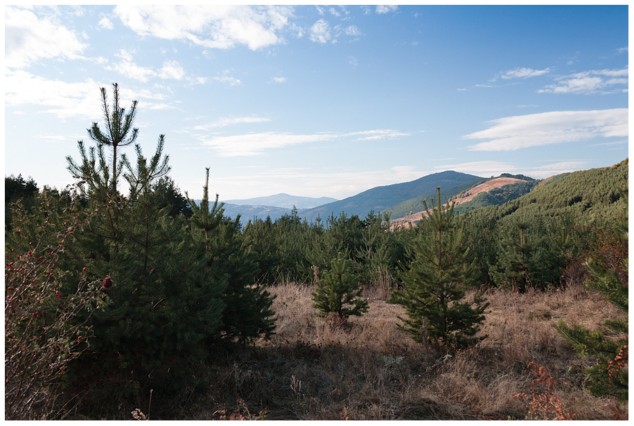 Гледка на северопзапад към в. Огражденец и в. Билска чука (вдясно)