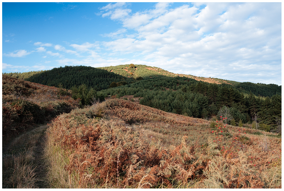 В. Маркови кладенци