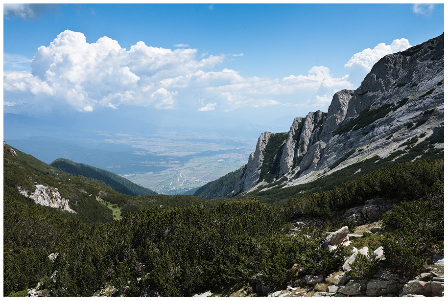 Стъпалата