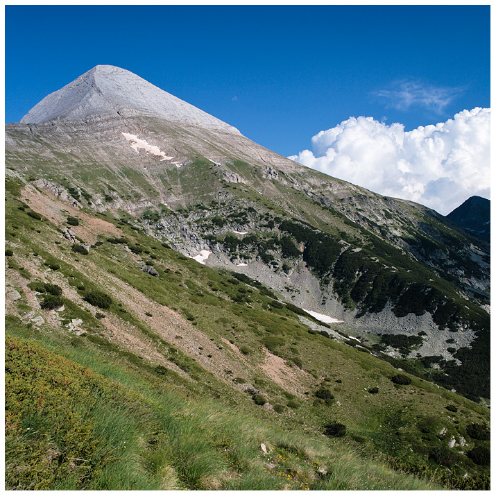 Вихрен