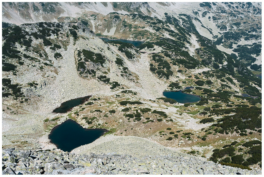 IMG 0084