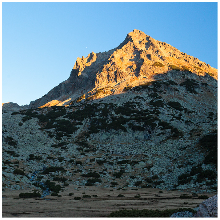Каменица