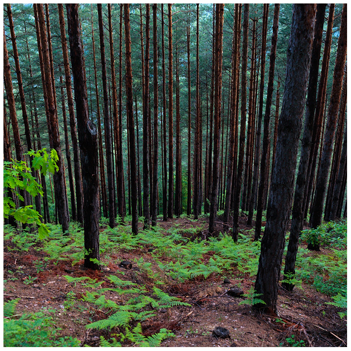 На път за тракийското светилище - каменните ниши при Орлови скали