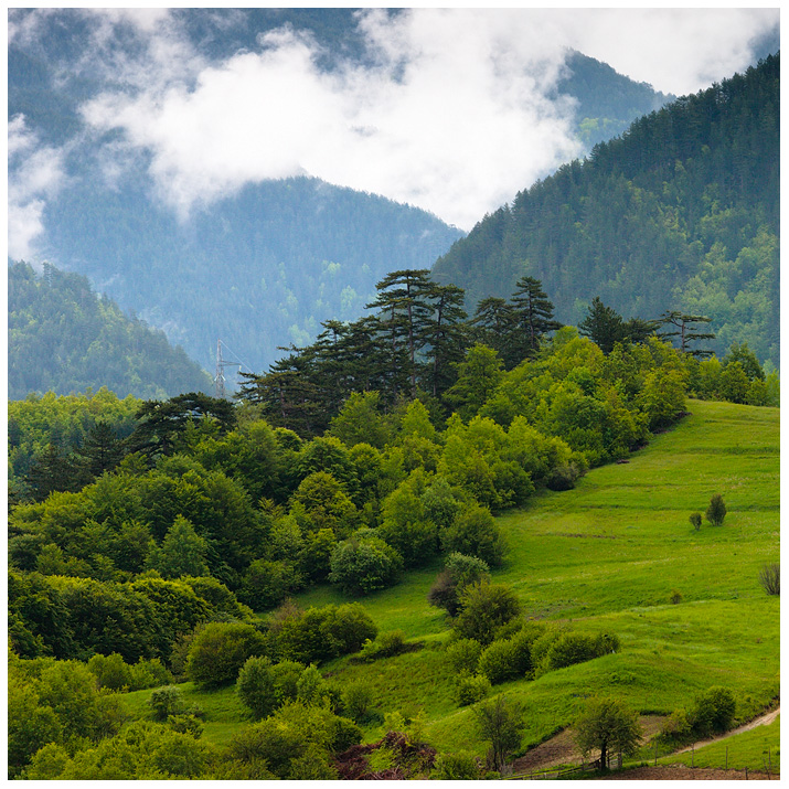 Пейзаж край Борино