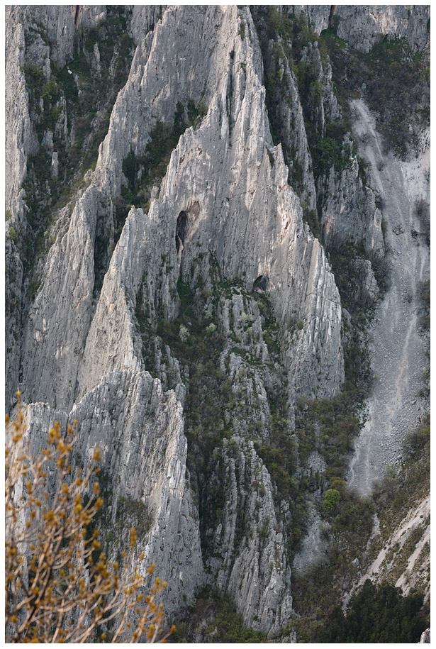 IMG 9756