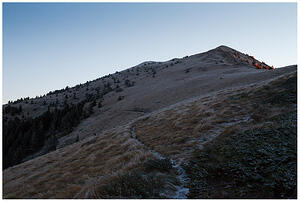 IMG 7458