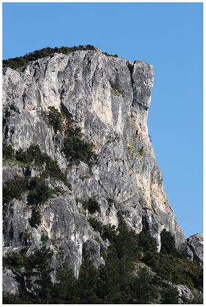 IMG 7868