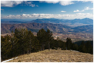 IMG 7917