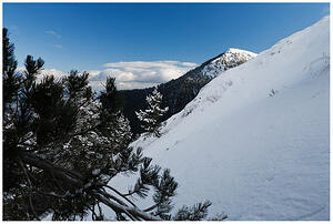 IMG 7981