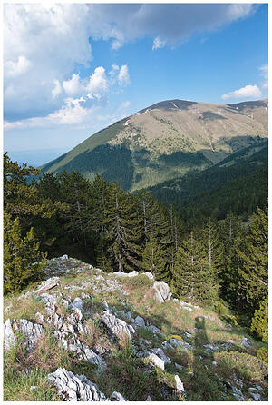 IMG 8753