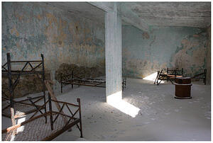 IMG 4571
