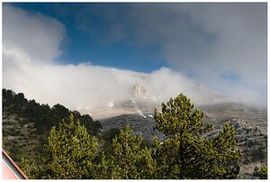 IMG 7540