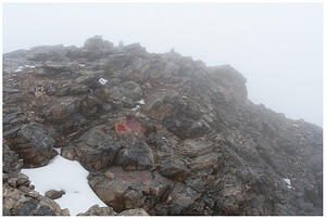 IMG 7547