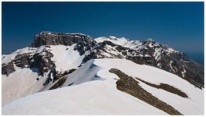 IMG 4747