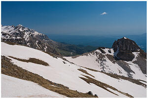 IMG 4749
