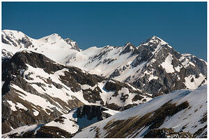IMG 4782