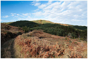 От Долна Рибница до Маркови кладенци - 22 октовмри 2011