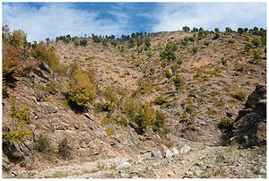 Местността Трънката