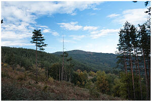 Маркови кладенци