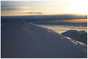 IMG 6957