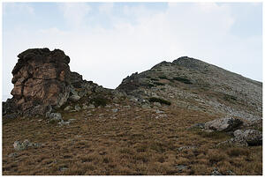 IMG 0372