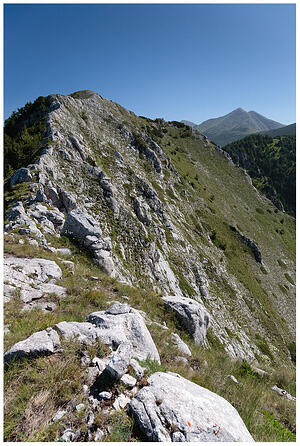 IMG 0265