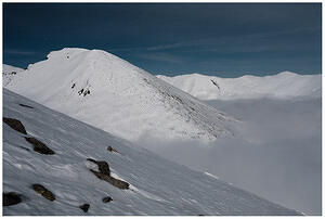 Яловарника