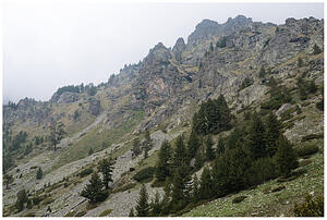 Орлите