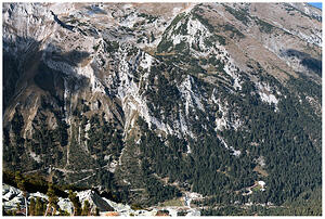 IMG 8886