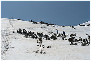 IMG 5882