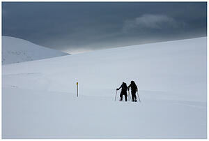 IMG 5482