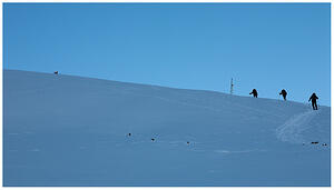 IMG 5714