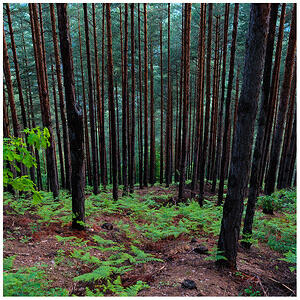 На път за тракийското светилище - каменните ниши при Орлови скали