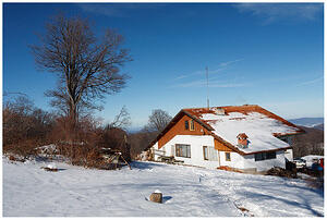IMG 7738