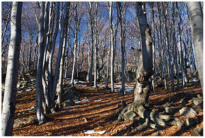 IMG 7841