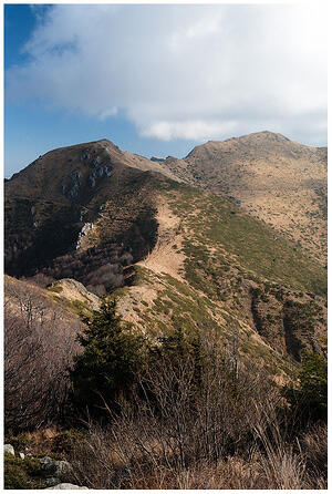 IMG 7182