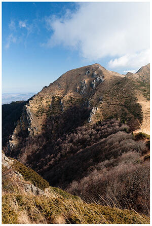 IMG 7183