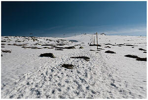 IMG 9787