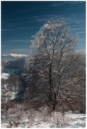 IMG 9886